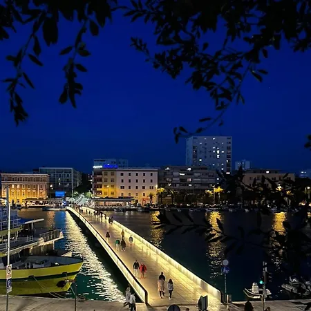 Midori * Zadar
